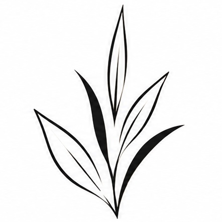 Erbe